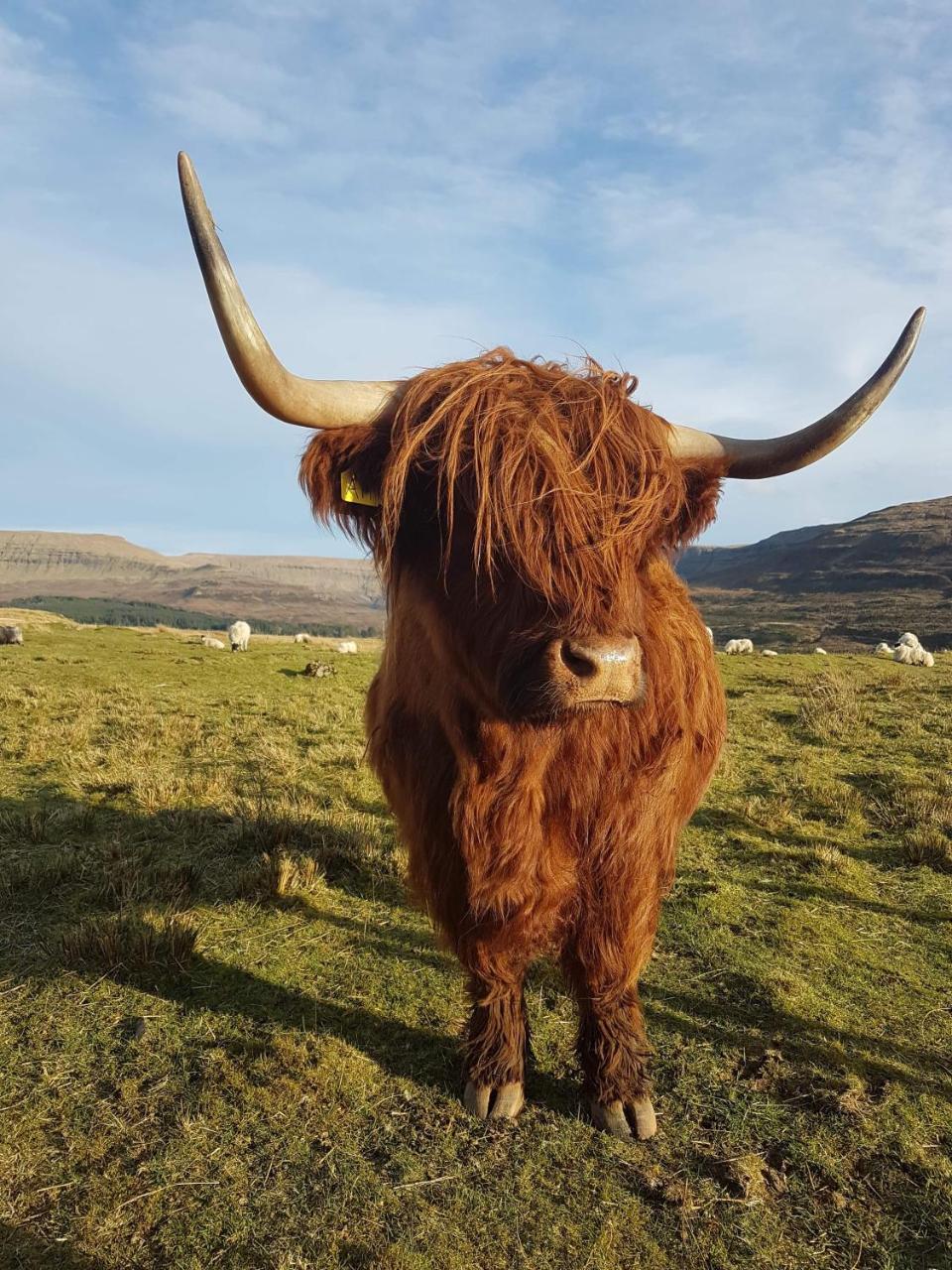 Trotternish B&B Portree Esterno foto